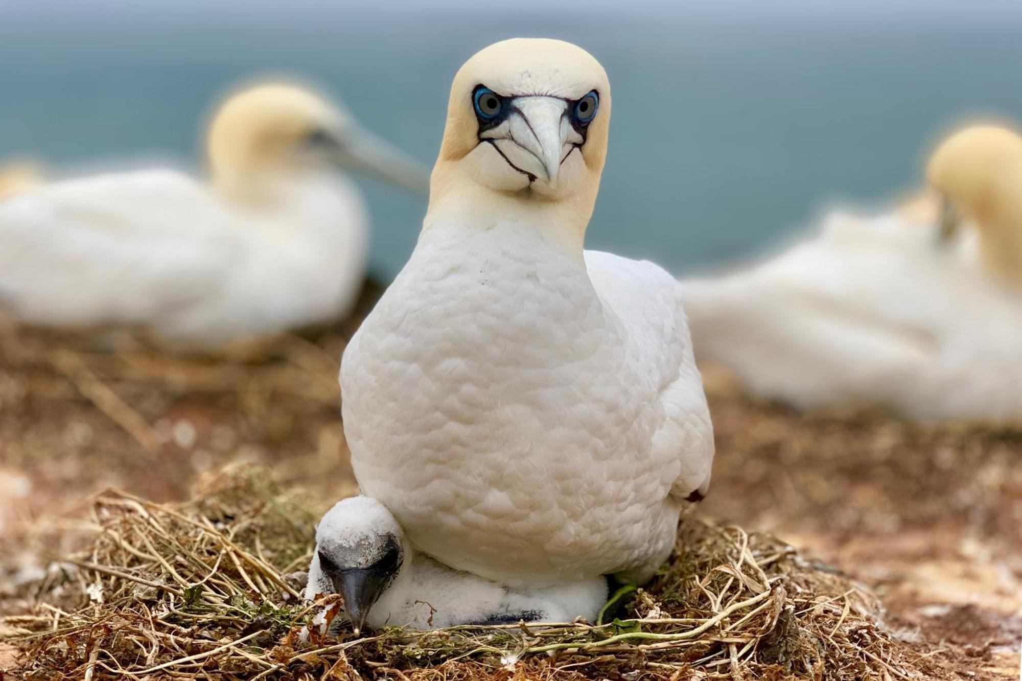 Apartmán Haus Sabina Heligoland Exteriér fotografie